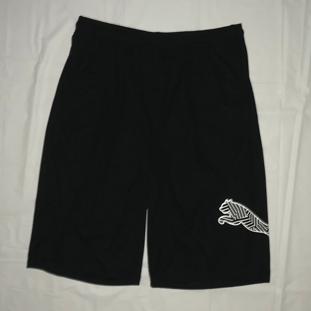Puma Mens Moisture Wicking Workout Shorts